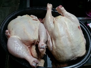 Chickens getting ready to say hello to the oven....