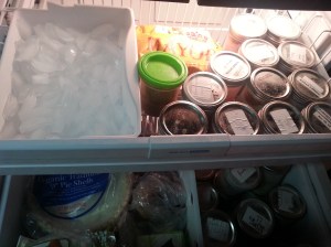 Top drawer of my freezer...