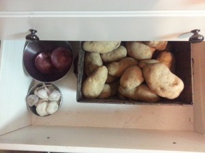 Root crop drawer. These are the biggest potatoes I have ever seen in my life. 