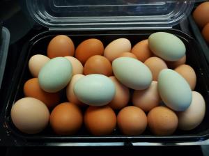 I get a deal on my eggs because I am willing to go to the farmers house and pick them up and put them in my own containers. This saves them time and money. They do not have to worry about egg cartons and transporting to me.