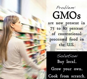 4cb53c1f80caa10219be7547045d78cc