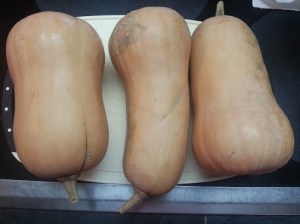 Butternut squash
