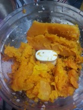 Butternut squash pulp...