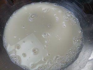 Yeast dissolved in water...