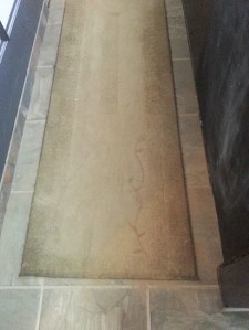 My olive green rug...