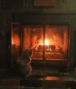 Famine enjoying a fire. WOW how she has grown.