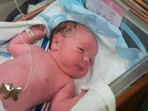 Hello World. Here I am at 9 lbs 5 Oz