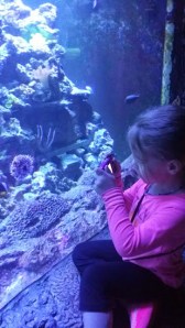 Reine taking a pic on her camera....