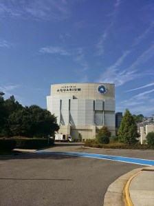 Hello Aquarium.....