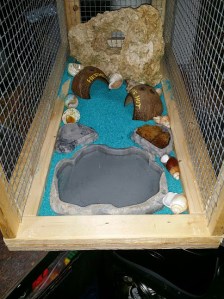 Cy  and Daddy project.....I got to decorate it!